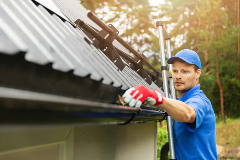gutter cleaning and repair-roof repair and replacement