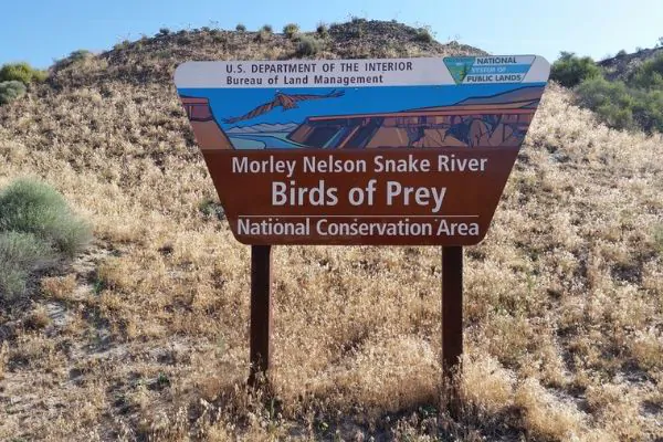 Morley Nelson Snake River Birds of Prey National Conservation Area Nampa Roofing ID