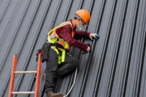 Pros and Cons of Metal Roofs - Roofing Nampa ID