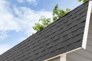 Top 5 Best Roofing Shingles for Your Home - Roofing Nampa (ID)
